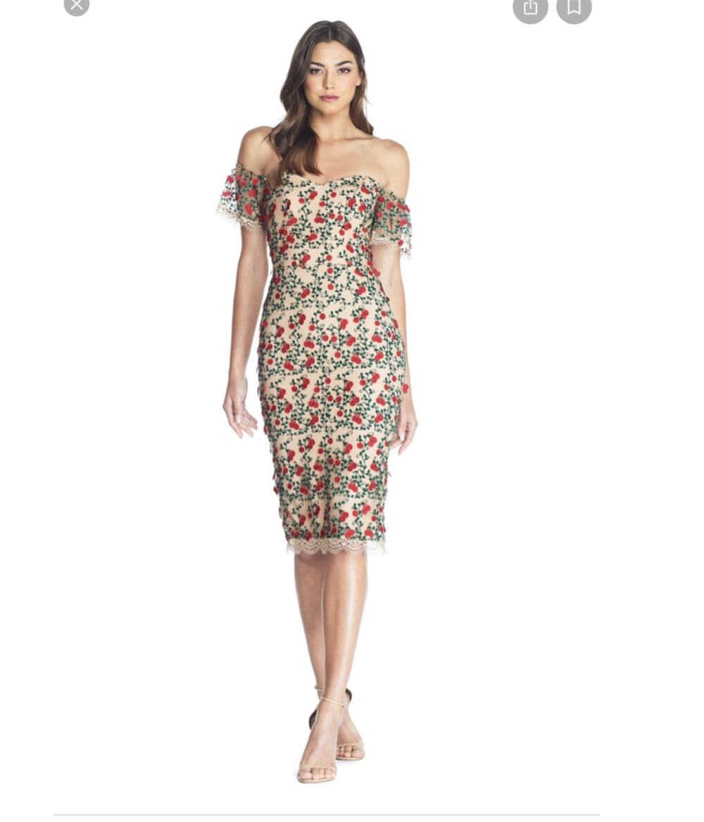 Nwt Dress the Population 3d Lace Janice Cherry Dress  Sz XS